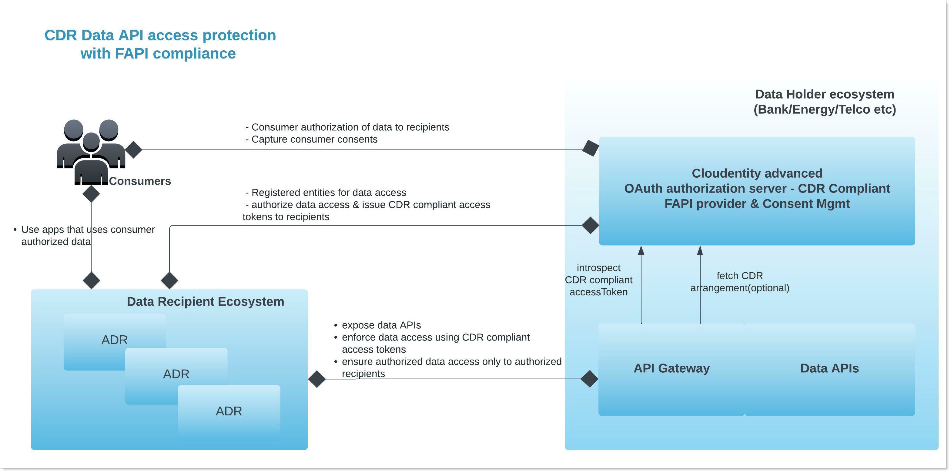 CDR data API access protection