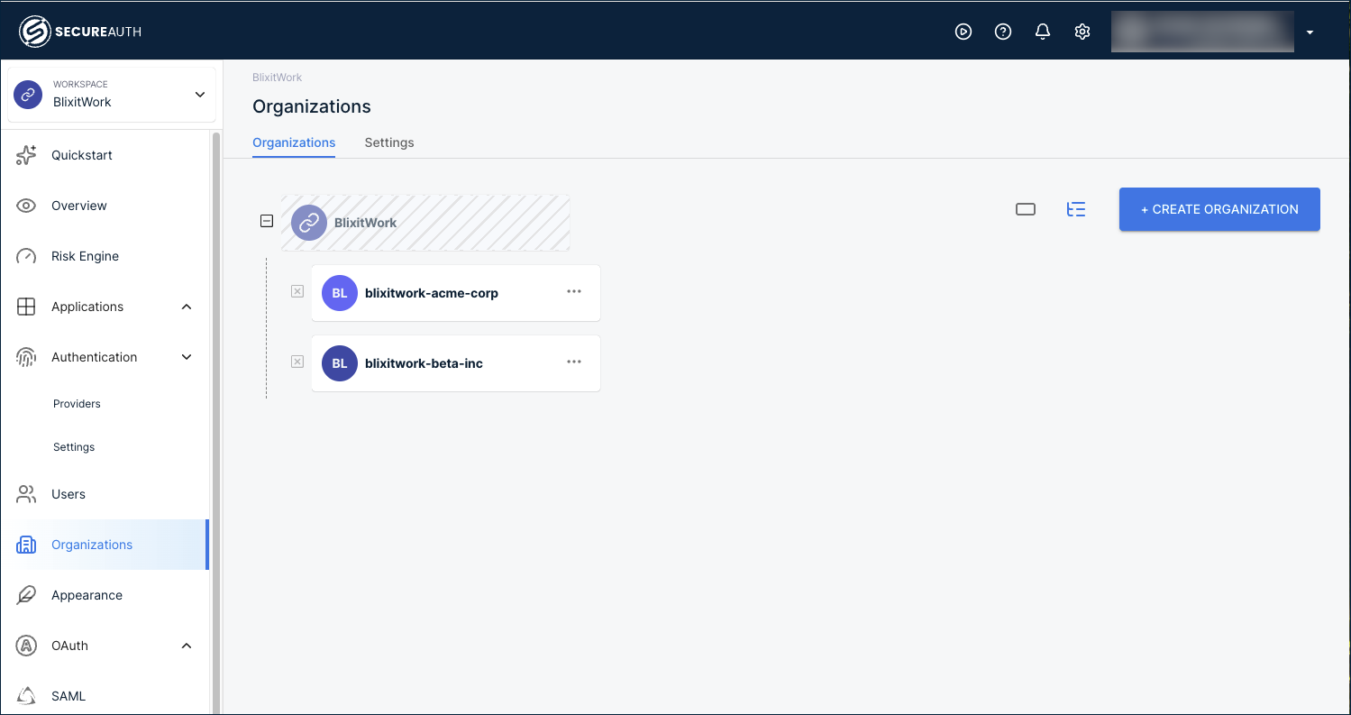 Organizations page showing two customer organizations added to the BlixitWork workspace
