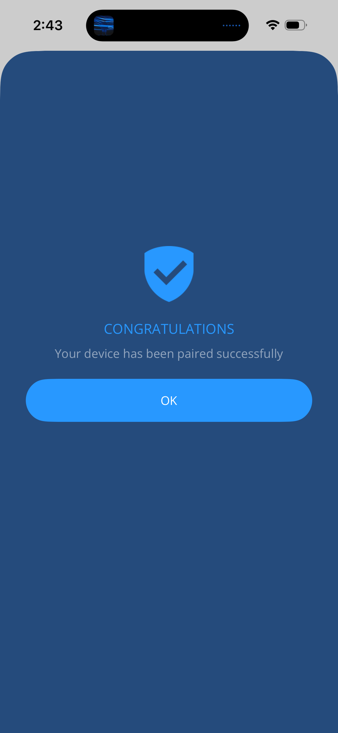 Mobile screen showing pairing success message
