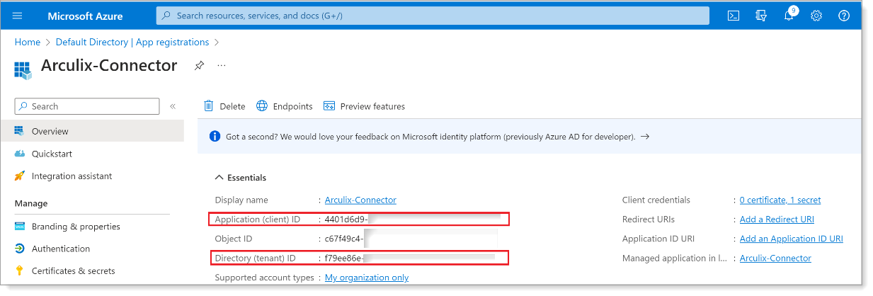 App registration Overview page showing Application ID and Directory ID