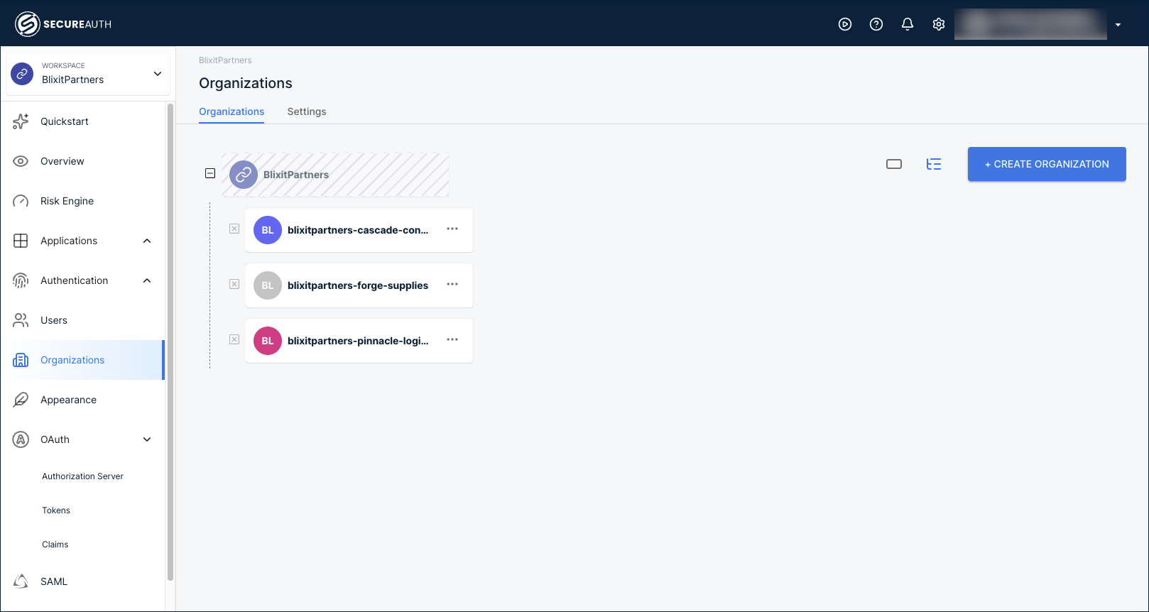 Organizations page showing Cascade Consulting, Forge Supplies, and Pinnacle Logistics as organizations in the BlixitPartners workspace