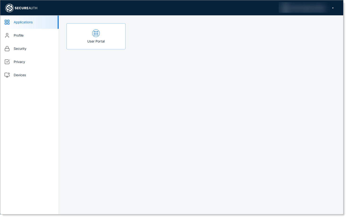 Application access granted